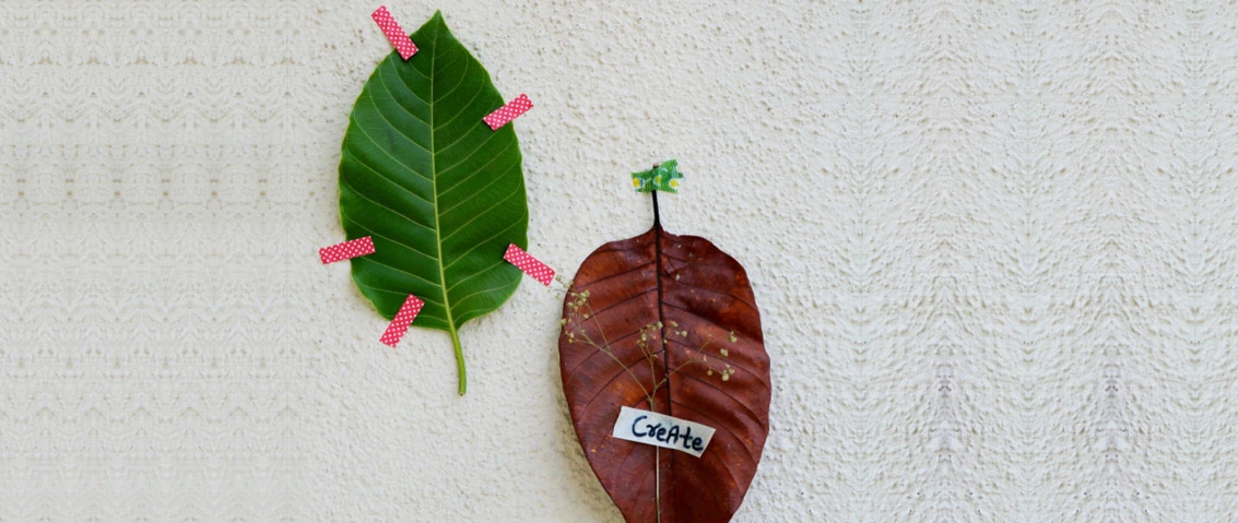 Leaf Image